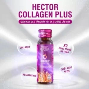 Đông Trùng Hạ Thảo HECTOR Collagen Plus