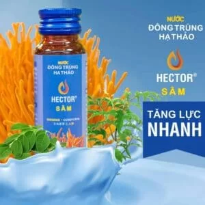 Đông Trùng Hạ Thảo HECTOR Sâm